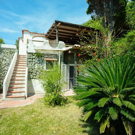 Via Provinciale Panza Forio (Isola d'Ischia)