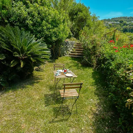 Villa La Pigrizia Forio di Ischia
